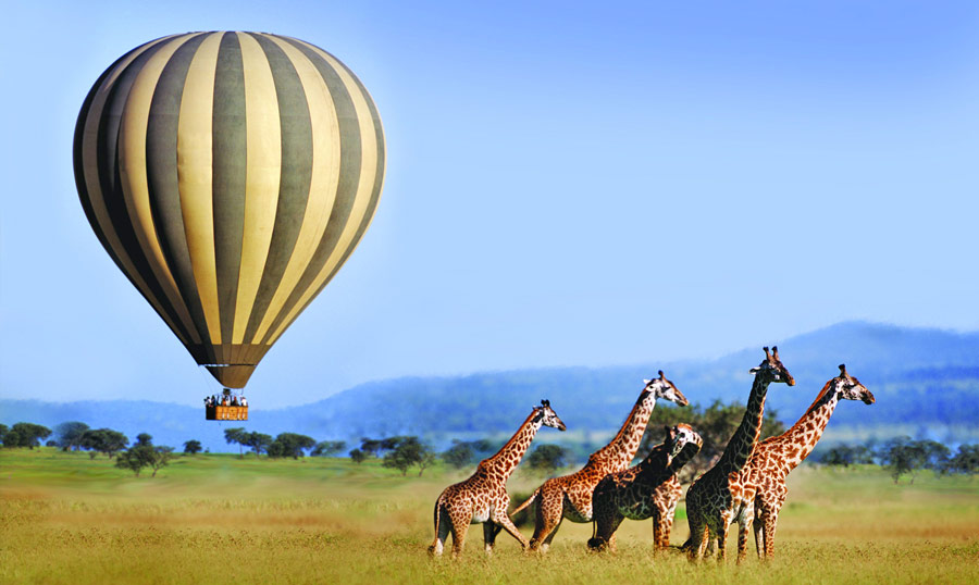 Serengeti balloons